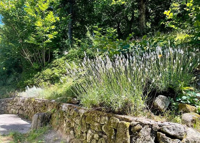Gîte des Sausses dans une nature préservée Burzet