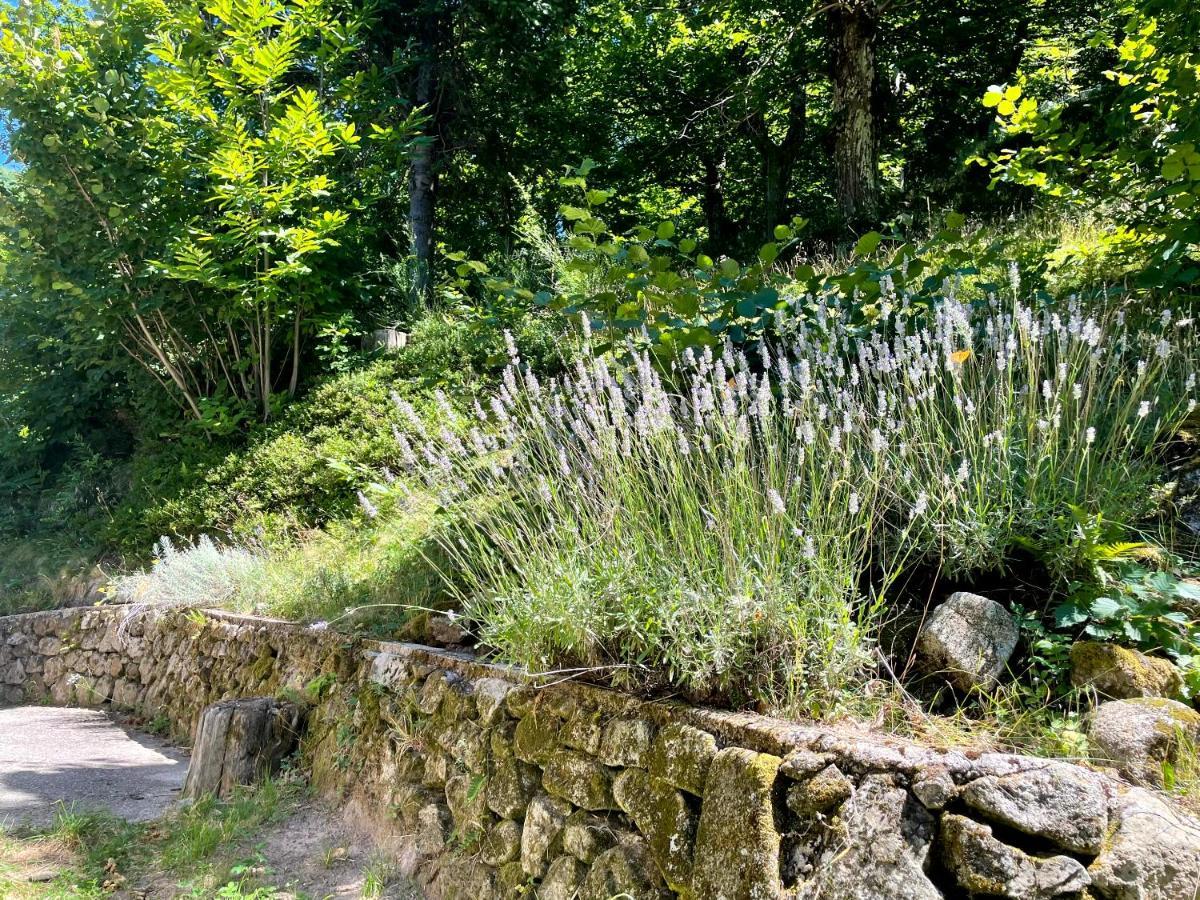 Des Sausses Dans Nature Préservée Burzet